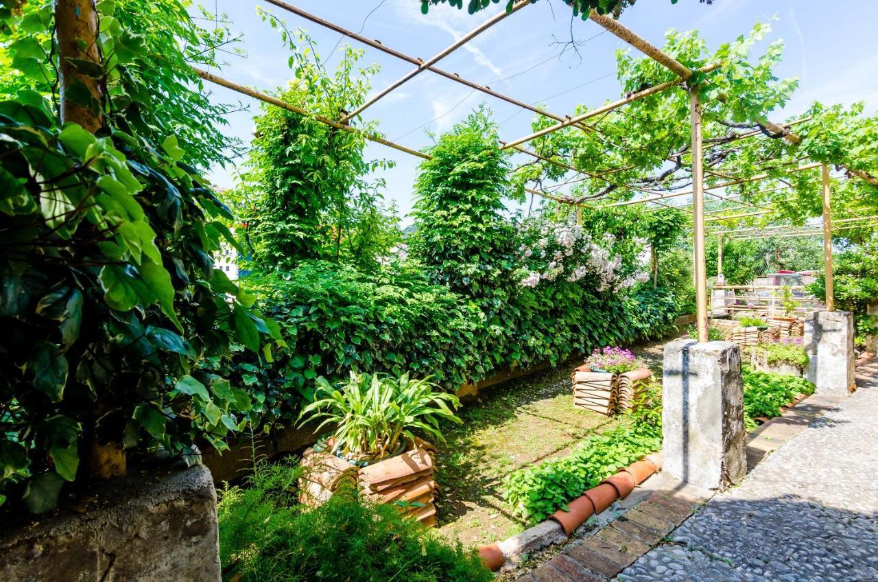 Guest House Ivana 杜布罗夫尼克 外观 照片